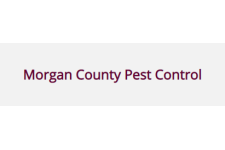 Logo for Morgan County Pest Control Logo for Morgan County Pest Control