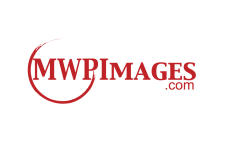 Logo for MWPImages Logo for MWPImages