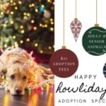 MCHS ‘Paws for the Holidays’ – One year+ Adoption Special all of December